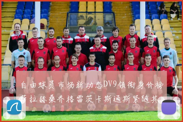 自由球员市场新动态DV9领衔身价榜萨拉赫桑乔格雷茨卡斯通斯紧随其后