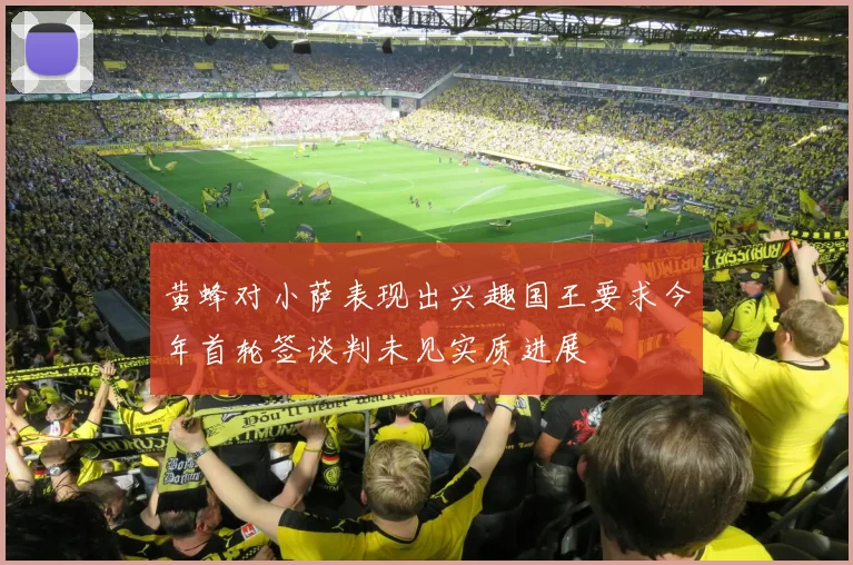 黄蜂对小萨表现出兴趣国王要求今年首轮签谈判未见实质进展
