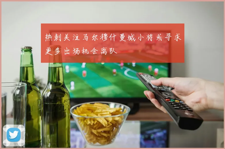 热刺关注马尔穆什曼城小将或寻求更多出场机会离队